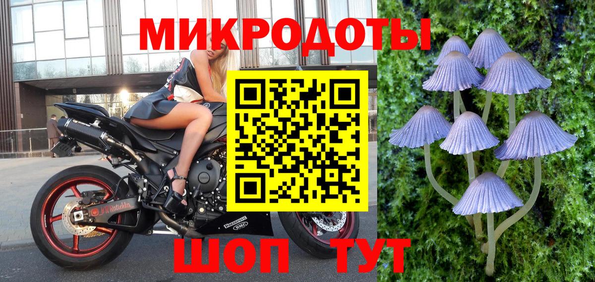 Галлюциногенные грибы мицелий Гусь-Хрустальный